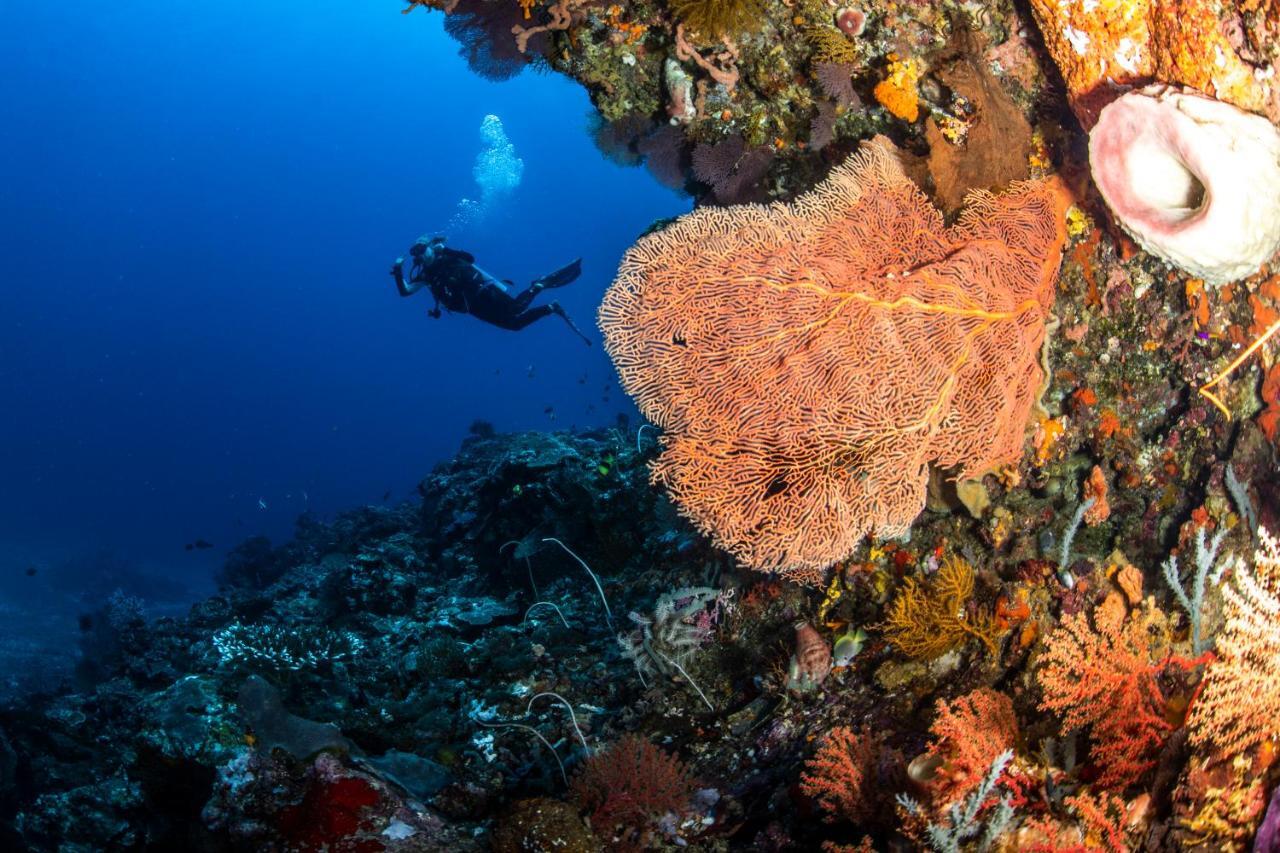 Manta Dive Gili Air Resort Ngoại thất bức ảnh